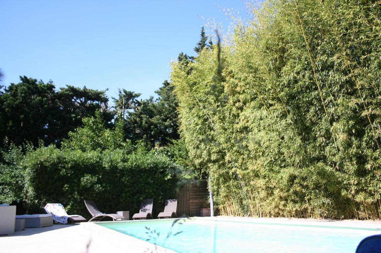Le Mas Des Dames Appartement Avignon Eksteriør billede
