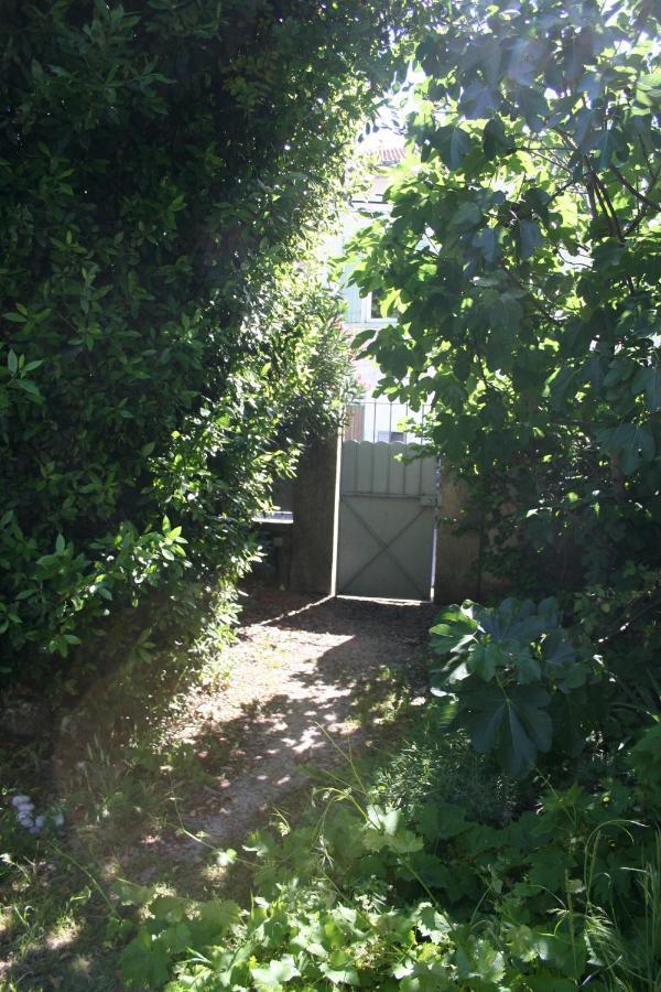 Le Mas Des Dames Appartement Avignon Eksteriør billede