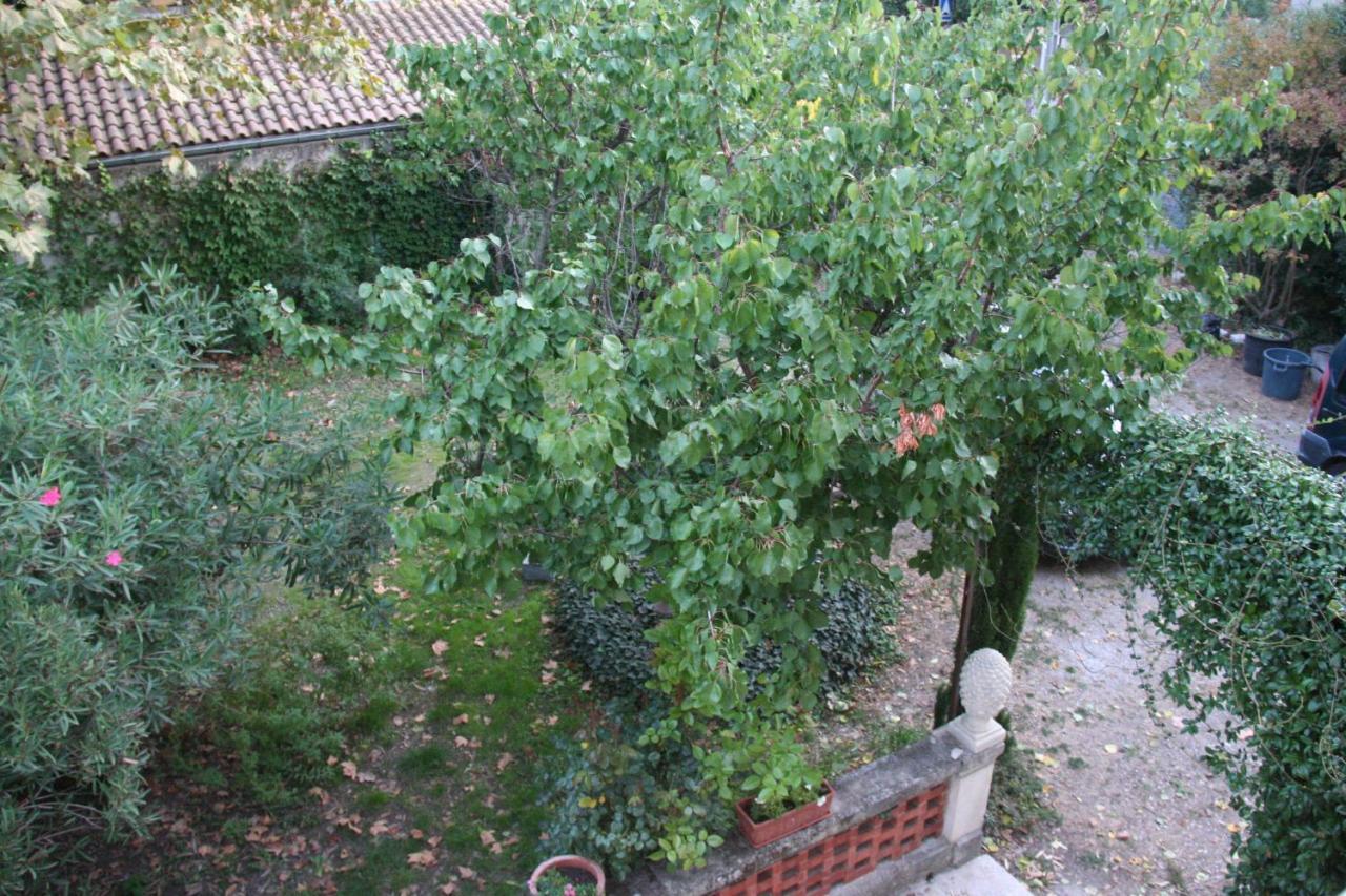 Le Mas Des Dames Appartement Avignon Eksteriør billede