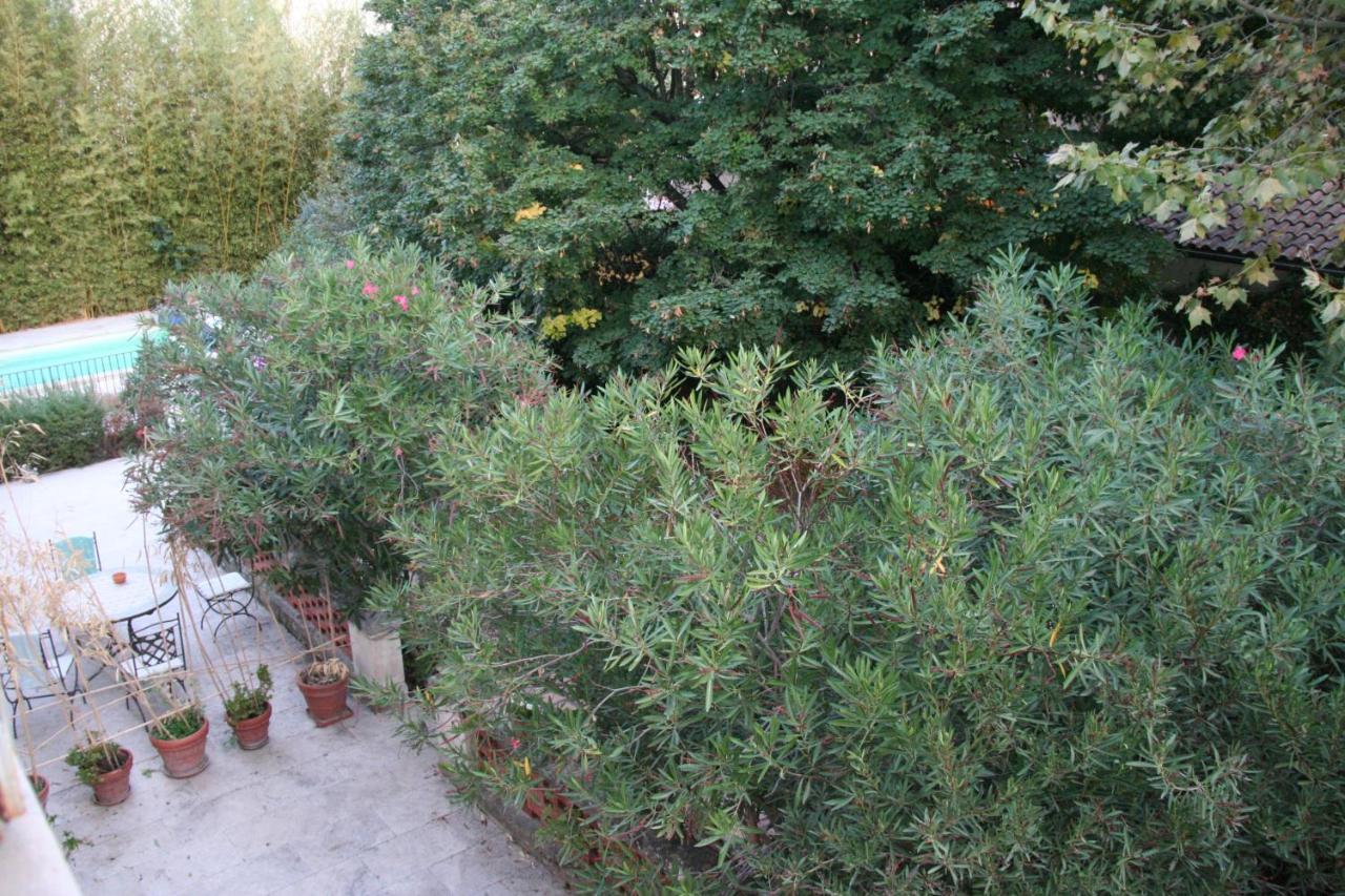 Le Mas Des Dames Appartement Avignon Eksteriør billede