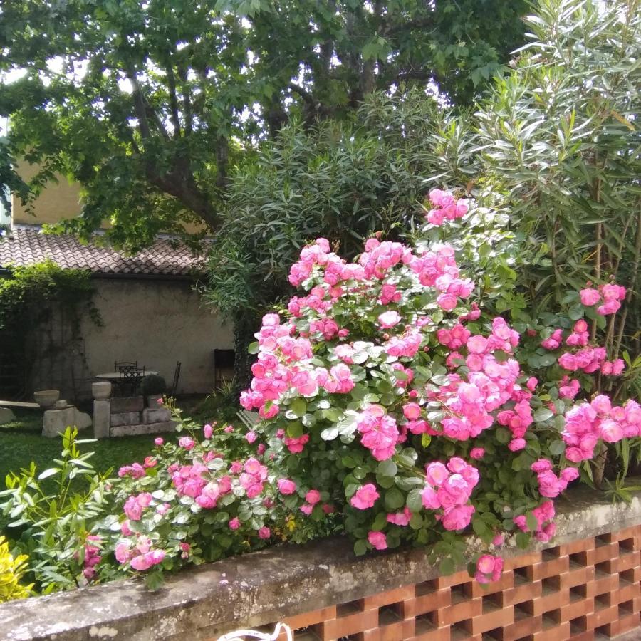 Le Mas Des Dames Appartement Avignon Eksteriør billede
